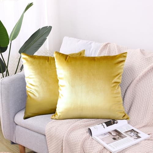 CXTAI 2x Golden Velvet Cushion Covers  Assorted colors , sizes 