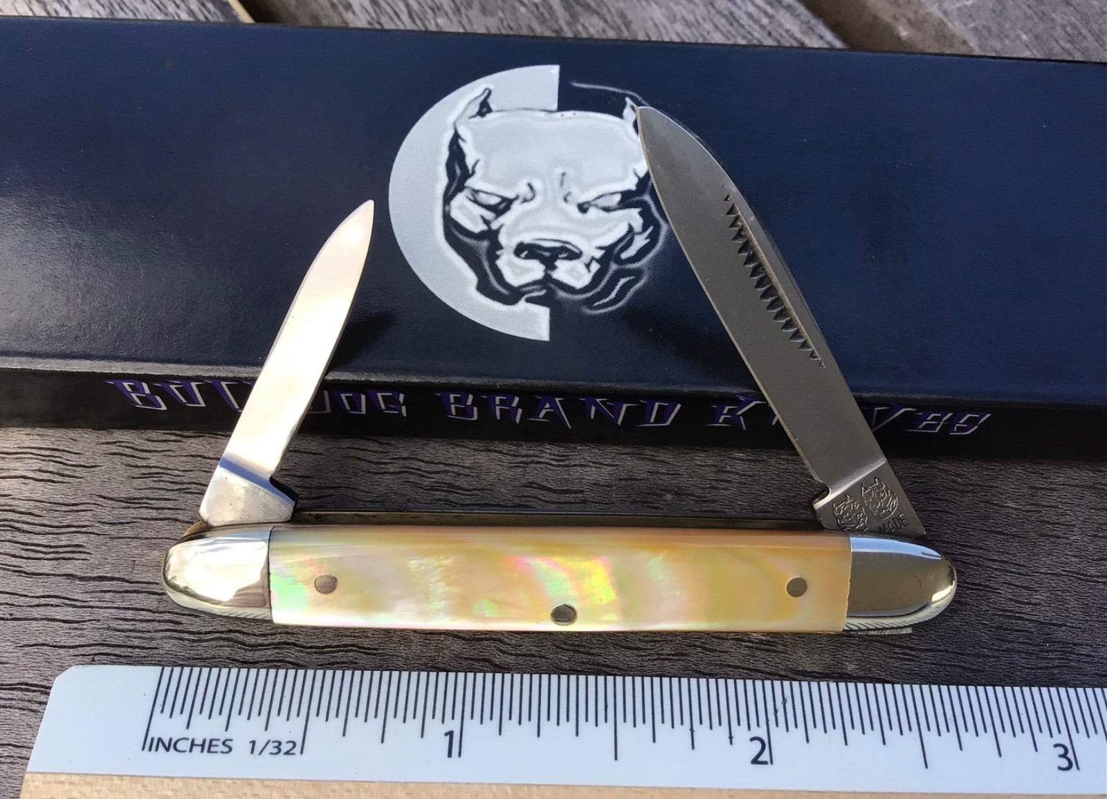 Bulldog Brand German Mini 2 Blade Pen Knife Gold Lip Pearl Beautiful!
