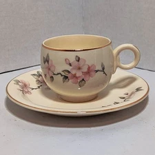 Homer Laughlin D48N5 Vintage 1948 Flat Demitasse Apple Blossom Cup & Saucer Set 