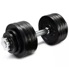 Yes4All 52.5 Lb Adjustable Dumbbell Weights Cast Iron Chrome Handle SINGLE ONLY
