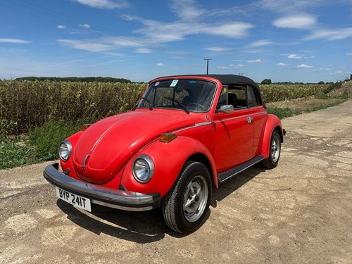 1979 Volkswagen Beetle Convertible - Rare Karmann Cabrio! - Picture 8 of 16