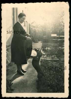 Dachshund Makes 1941 Male for Treats - 1940s - Teckel Dachshund - Photo 6x9cm