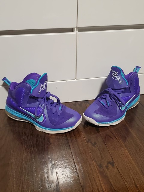 lebron 10 hornets