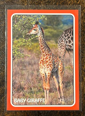 2024 Topps Heritage - Autos, Relics, Short Prints, Parallels Inserts & RCs
