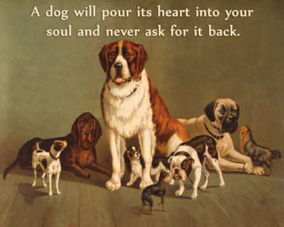 Dogs Heart Soul St. Bernard Terrier Spaniel Yorkie Vintage Poster Repo FREE S/H