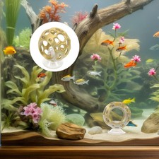 Aquarium Decoration Shelter Fish Decorations Shrimp Hideout Betta Cave