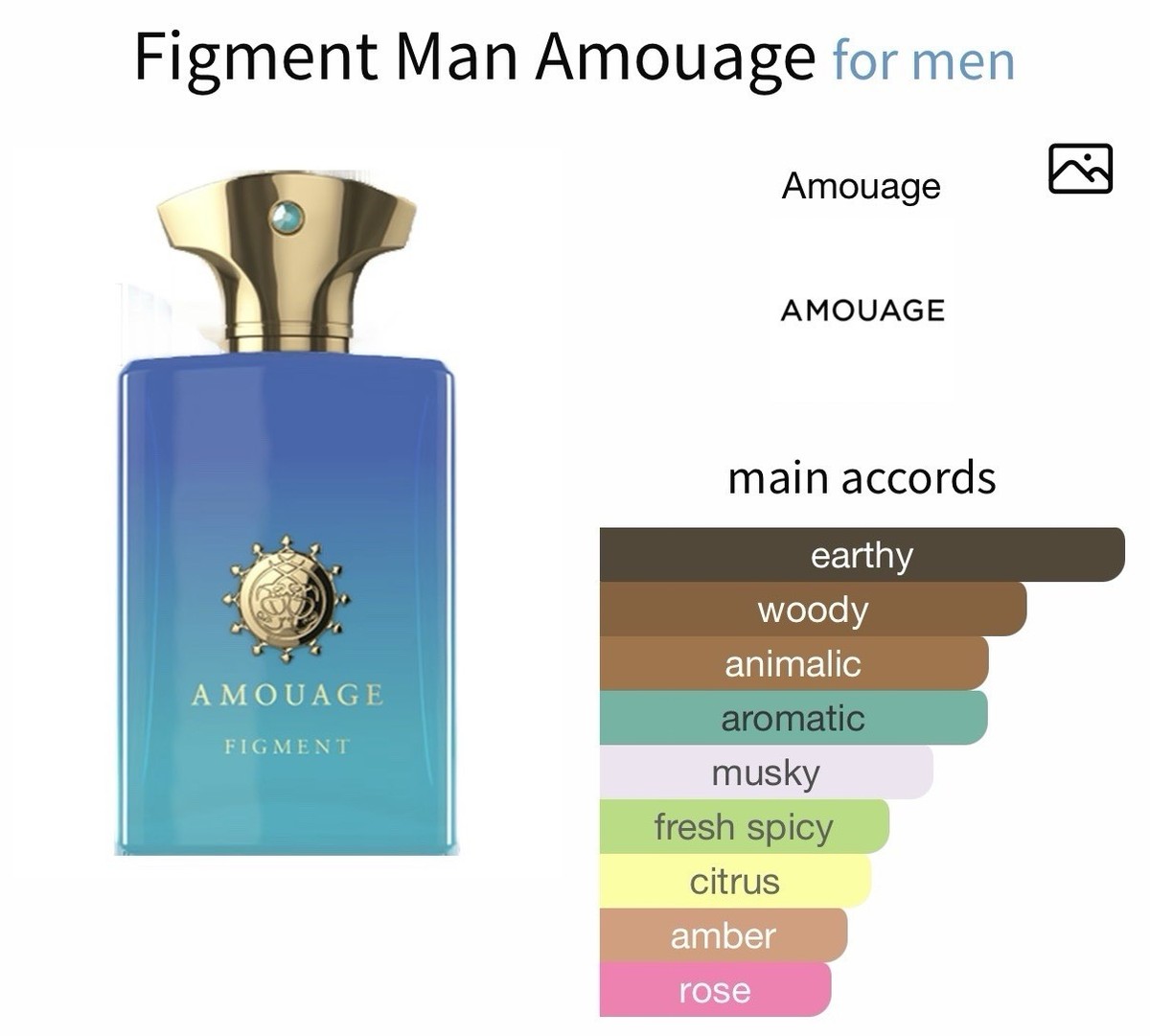 Amouage Figment Man edp 100ml/3.4 oz (Discontinued) (NEW) | eBay