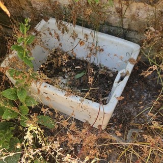 2 Butler sink used