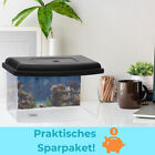 Foto 5 di 5