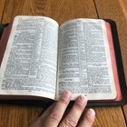 Foto 17 di 19