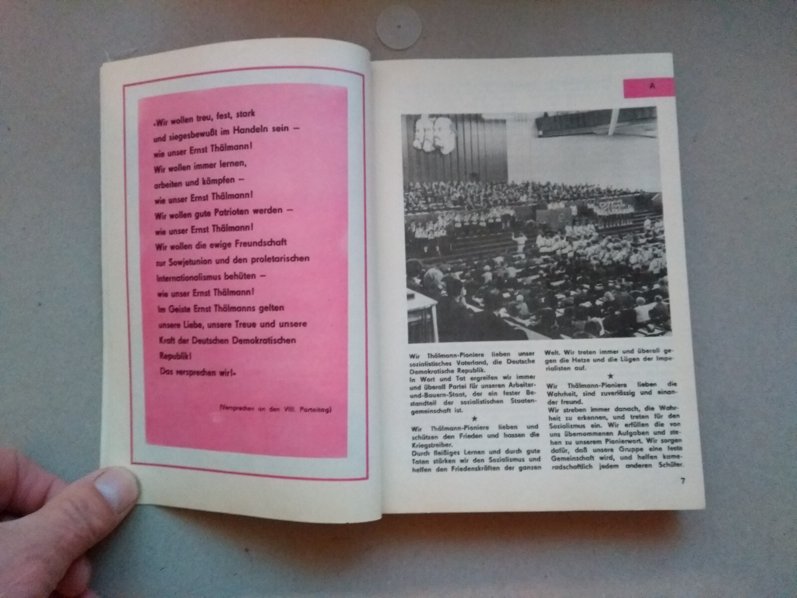 Bild 5 von 13