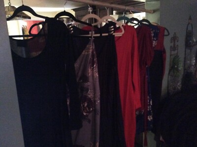 Tons of womens L-XL shirts, dresses, coats, dressy clothes, leggings, & more