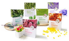 Cleansing Detox Foot Pads Patches Pain Relief Toxins Herbal Organic Korea