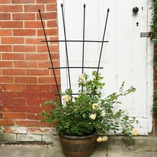 Garden Gear 1.2m Fan Trellis Garden Plant Flower Support Planter Frame Lattice