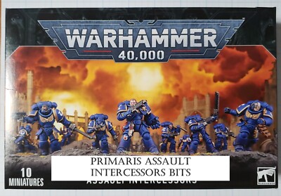 Warhammer 40K Primaris Space Marines Assault Intercessors – 5-Man Multi-Pose Combat Squad, Unassembled & Unpainted