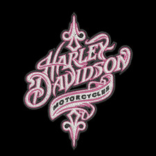 Harley Davidson Sweatshirt Embroidered YOUTH Kids Unisex Crewneck Biker Script