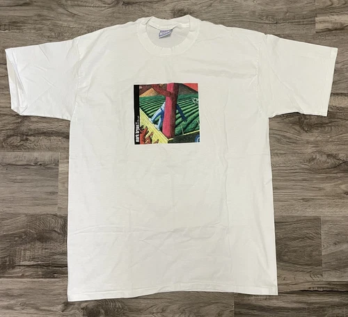 Vtg Hootie & the Blowfish Shirt Men’s Extra Large Mark Bryan Y2K 30 On The Rail