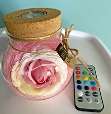 LOVE 100% Fiber Optic Color Changing Rose In Glass Dome w/REMOTE