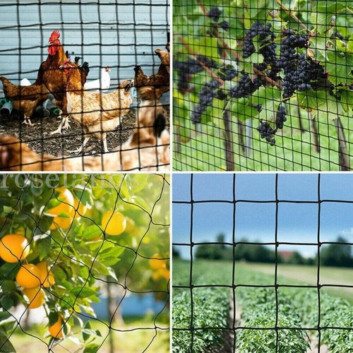 10/20/30M Black Anti Bird Netting Pest Net Commercial Fruit Tree Pond Plant Mesh - Picture 13 of 14