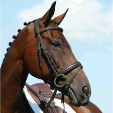 Collegiate Syntovia  Padded Raised Flash Bridle