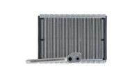 Mahle Ae 169 000P Verdampfer, Klimaanlage