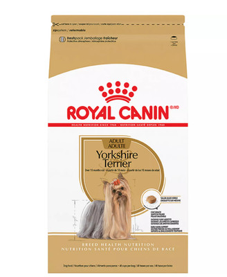Royal Canin Breed Health Nutrition Yorkshire Terrier Adult Dry Dog Food 10lbs