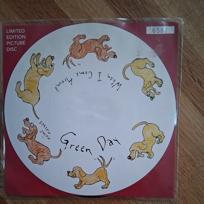 7'' Single. Green Day - When I Come Around.  Mint. Picture Disc.  8730
