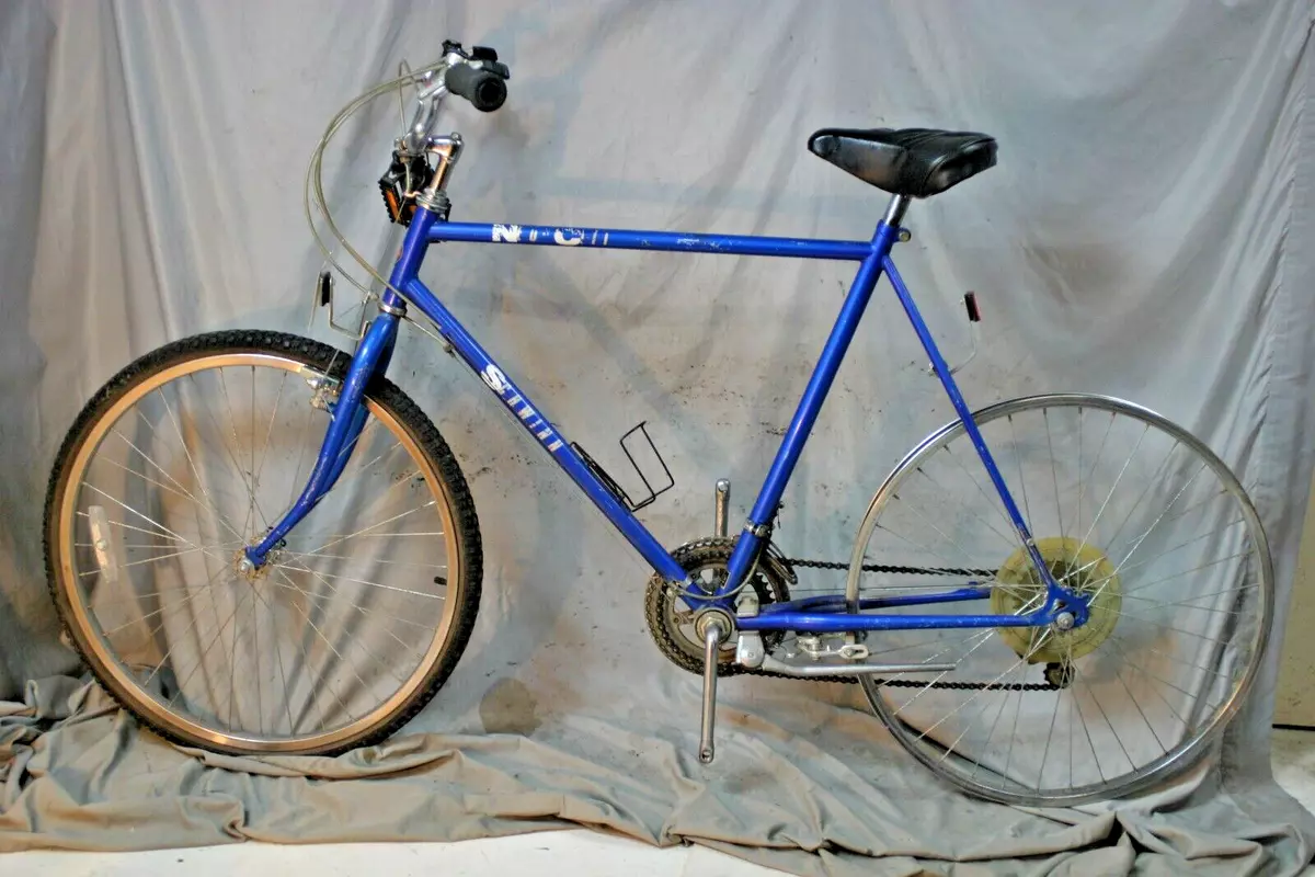 Schwinn blue hotsell