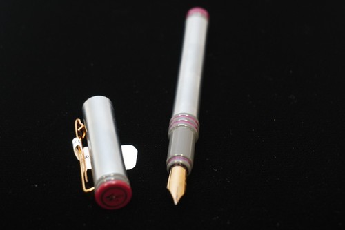 Stylo plume Waterman en argent avec anneaux gris/violet / F plume