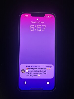 iPhone 14 Pro With Tick Tock Installed 