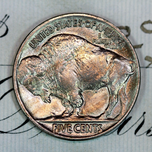 * 1919-P * SUPERB+ GEM BU MS BUFFALO NICKEL * FROM ORIGINAL COLLECTION - Picture 2 of 4