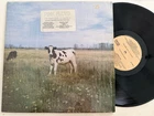 Rare Pink Floyd LP ~ Shrink With Hype Sticker ~ NM