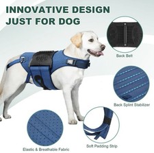 Haggemi Dog Back Brace Support-XL