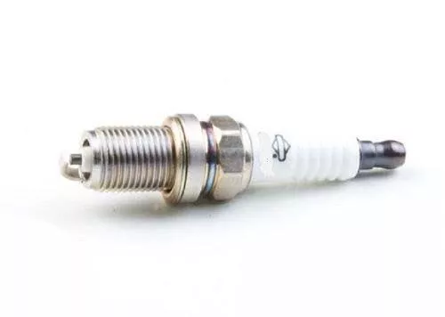 Toro mower on sale spark plug