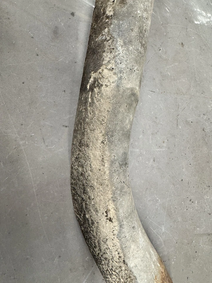 1965-1968 Ford Galaxie 500 топливный бак заполнения газовый наполнитель трубы горловины Marauder LTD - Изображение 3 из 4