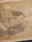 Bild 11 von 14