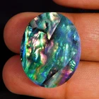 23.30Cts. Natural Incredible Abalone Shell Oval Cabochon Reiki Healing Gemstone