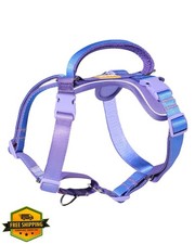 DF Freedom Martingale Dog Harness, Rainbow 1", Chest 22-30"