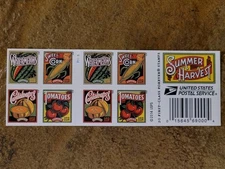 20 FOREVER FIRST CLASS LETTER STAMPS SUMMER HARVEST STAMPS MNH 2015 BOOK PANE