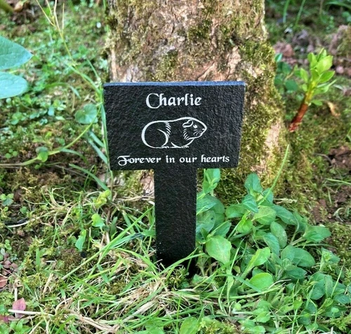Personalised Engraved Pet Memorial Slate Stake Grave Marker Plaque Guinea Pig