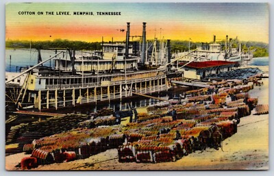 Postcard Cotton On The Levee, Memphis Tennessee Posted ca 1940