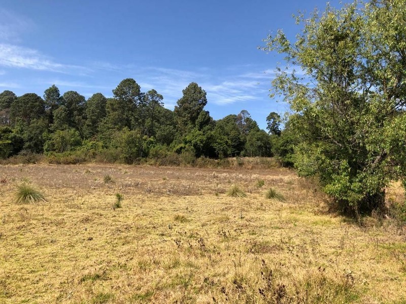 Terreno en venta en Cuadrilla de Dolores, Valle de Bravo.