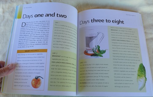 Detox Cleanse and Recharge Your Mind Body & Soul by Dr Christina Scott-Moncrieff - Picture 8 of 12