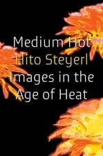 Medium Hot : Images in the Age of Heat, Hardcover by Steyerl, Hito, Like New ...