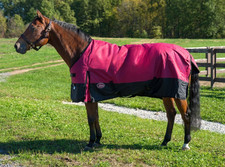 600D Winter Turnout Horse Blanket 300gm Waterproof Horse Blanket