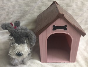 our generation schnauzer