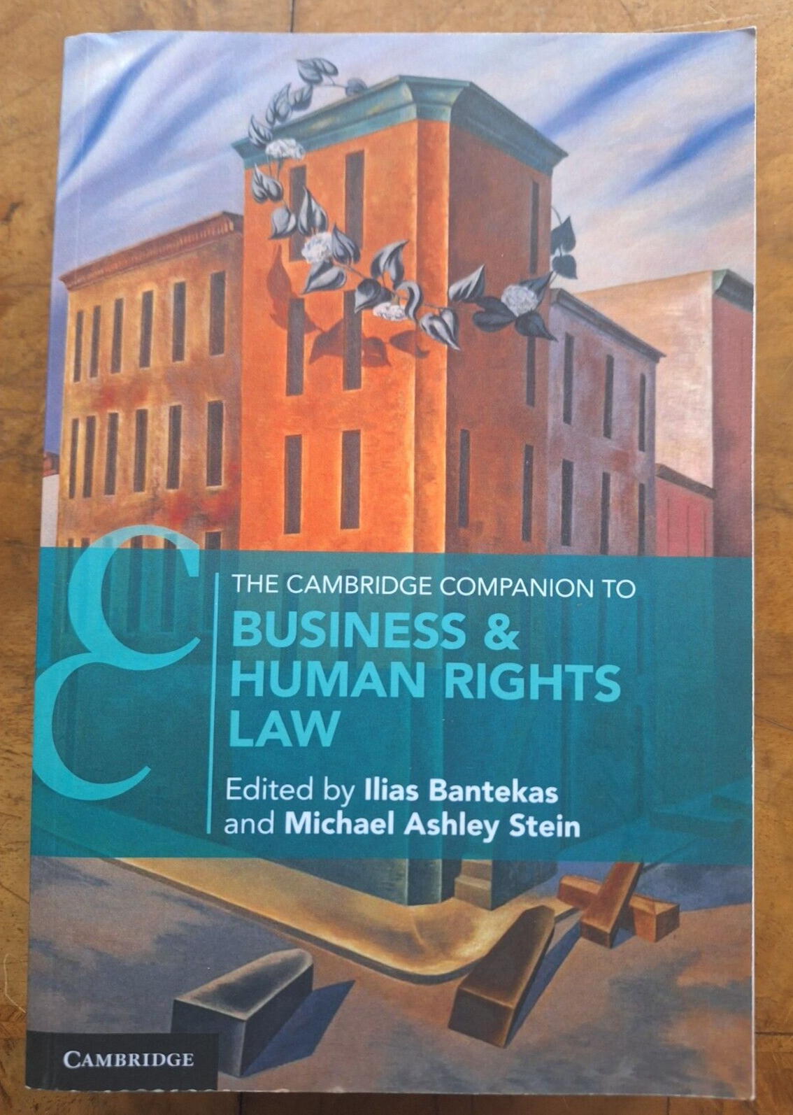 The Cambridge Companion to Business & Human Rights Law Cambridge Companions