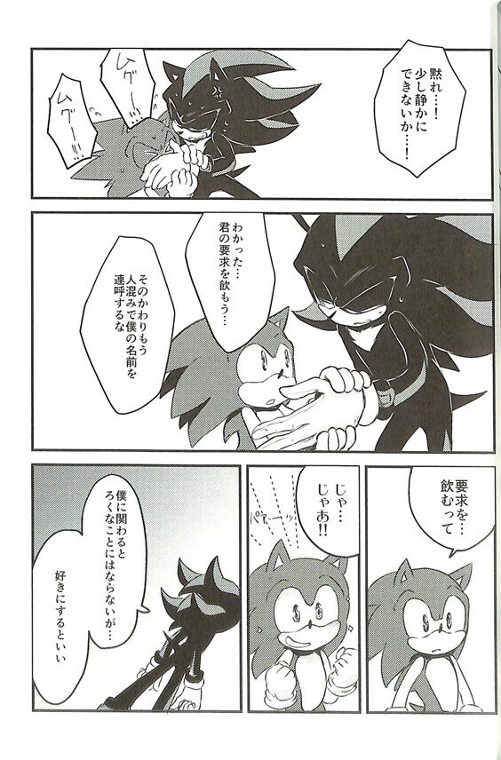 Sonic the Hedgehog Doujinshi Comic Book Sonic Shadow Silver Blast