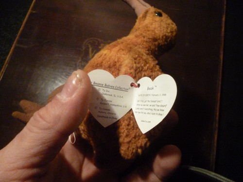 TY Beanie Baby ~ Schnabel der Kiwi Vogel ~ Etikett Fehler 1998 nicht mehr produziert - Bild 8 von 8