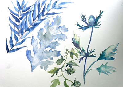 Original Botanisches Aquarell Gemälde blaue Blätter Wildblumen Studie Kunst 15 x 12